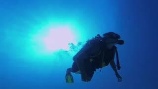 Travel Treasures Official Video