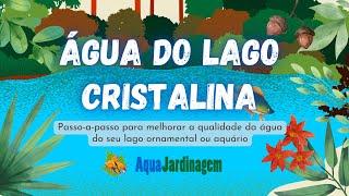 CURSO | Aprenda como deixar a água do seu lago transparente sem gastar muito dinheiro