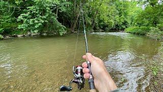 TROUT Fishing with Inline Spinners (Brown, Brook, Rainbow)