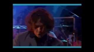 The Icicle Works, live in 1984 - Birds Fly (Whisper To A Scream)