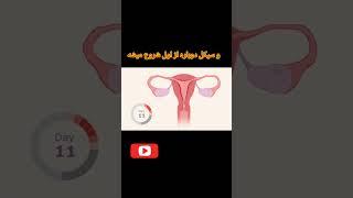 سیکل قاعدگی خانم اینطوری اتفاق می افته #بارداری #ناباروری #medicine