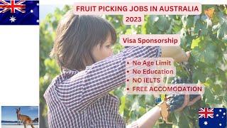 Fruit Picking Jobs In Australia Visa Sponsorship 2023| NO Accomodation| No Degree| No IELTS