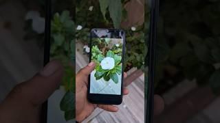 Samsung Galaxy A14 5G Camera Test for Portrait Mode #shorts #samsunga14