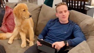 Funniest Dogs and Human Video 2024!