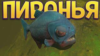 Я ПИРАНЬЯ ( Feed and Grow: Fish )