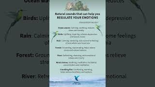 Natural Sounds to help regulate your emotions