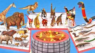 Who Can Jump Over Or Fall Into LAVA? Animals VS Reptiles VS Dinosaurs Animal Revolt Battle Simulator