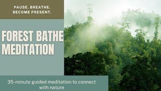 A Guided Forest Bathe Meditation: Shinrin-Yoku