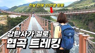 한달만에 20만명이 찾아온 인기 절정 출렁다리 | 전세계가 놀란 한국의 ‘그랜드 캐니언’