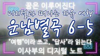 중국 여행; 운남별곡云南别曲 #6-5. 차밭과 차왕수