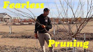 Pruning Plum Trees | Pruning Fruit Trees Without Fear!
