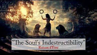Raison d’Être: The Soul’s Indestructibility