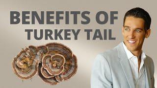 Benefits of Turkey Tail Mushroom (Trametes/Coriolus Versicolor)