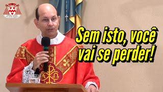 “Eram tão ‘cheios do Espírito Santo’ que hoje nem acreditam em Deus” (Padre Paulo Ricardo)