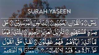 Surah Yaseen (Yasin) Full | By Asad Attari | Arabic Text | HD