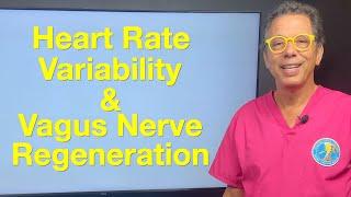 Heart Rate Variability and Vagus Nerve Regeneration