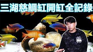 【亮哥養魚】三湖慈鯛缸開缸全記錄