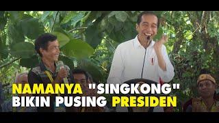 Kisah "Singkong" yang Bikin Presiden Jokowi Terpingkal dan Pusing