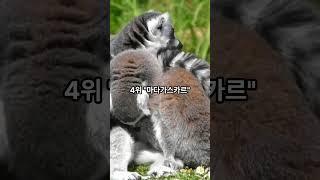 세계에서 가장 여행가고 싶은 섬 TOP7 #여행 #지식#travel