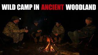 wild camping in a very old woodland