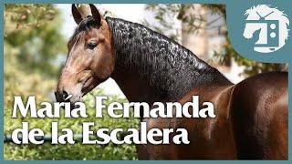 Grandes Yeguadas de Europa  -  ESPAÑA: María Fernanda de la Escalera | #3 | Caballos TV