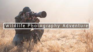 WILDLIFE PHOTOGRAPHY ADVENTURE | The Prowess of the Heron