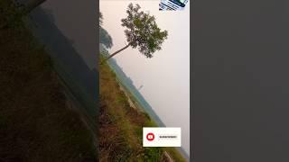 Natural video #nature #post #trending