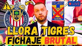 BOMBAZO! ¡CHIVAS ROBA JUGADOR DEL TIGRES Y LA AFICIÓN SE VUELVE LOCA! NOTICIAS DE CHIVAS HOY