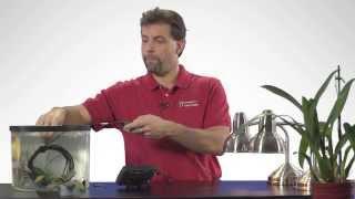 PAR Sensor - Tech Tips with Vernier