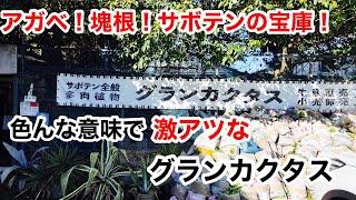 【聖地巡礼】グランカクタス行って来ました！とにかく熱い！熱い！暑すぎる！？