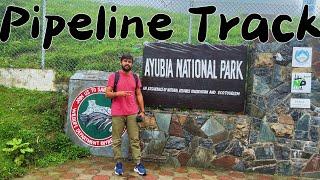 Pipeline track Ayubia || Trekking with friend || SAQRAT VLOGS