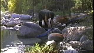 1994 Yuba River dredging for gold North San Juan California