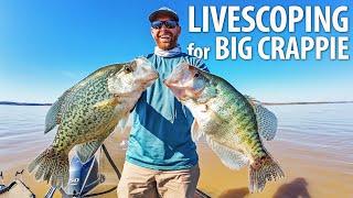 Using LiveScope to Catch HUGE Crappie in Mississippi