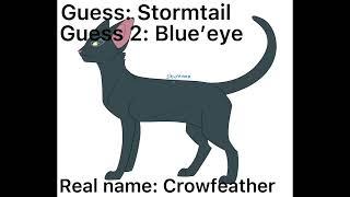 My friends guesses warrior cat names pt.2