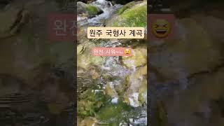 #shorts 힐링중~^^원주 계곡은 언제나 좋아~^^