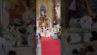 Priestly Ordination of Fr.Martin Thekkanath CFIC