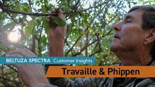 BELTUZA SPECTRA  Customer Insights "Travaille & Phippen"