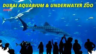 Dubai Aquarium & Underwater Zoo #dubai #dubaiaquarium