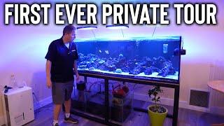 I toured my aquarium store owners private fish tank  - the king of DIY