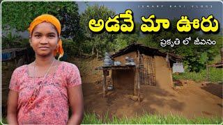 Tribal House Located in dense forest || natural lifes on hills || #villages