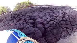 Galapagos Crabs