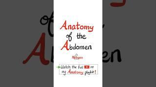 Anatomy of the Abdomen - Posterior Abdominal Wall #mbbs #biology #anatomy #physiology #science