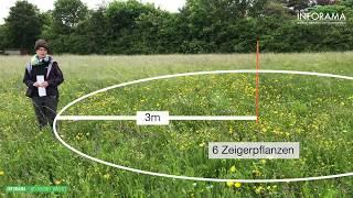 Extensive Wiesen - Qualitätsstufe 2 erkennen und anmelden