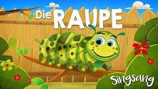 Die Raupe – Singsang – Lieder für Kinder