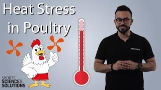 10 Tips to Reduce Heat Stress in Poultry through Nutrition