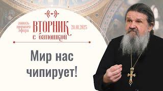 Тема беседы: «Свобода» (ч. 2). Вторник с батюшкой. Беседа с прот. Андреем Лемешонком 28 января 2025