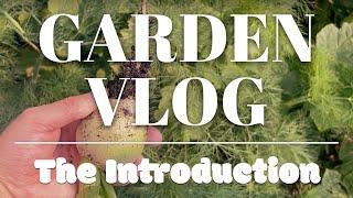 Where We Started, Where We Are, Where We're Going | The Garden Vlog