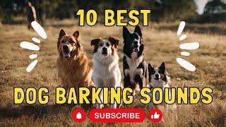 10 best dog barking sounds | dog sounds | sounds for dogs | dog TV | videos for dogs