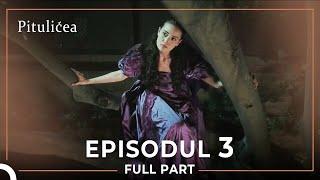 Pitulicea | Episodul 3