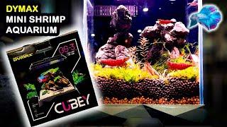 Best Shrimp Aquarium? DYMAX CUBEY REVIEW ~